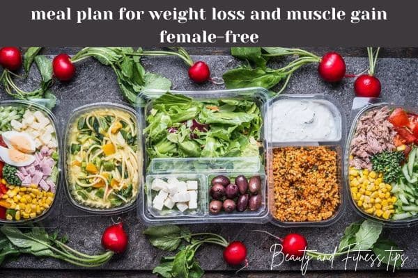 meal plan for weight loss and muscle gain female free