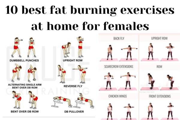 10 best fat burning exercises at home for females